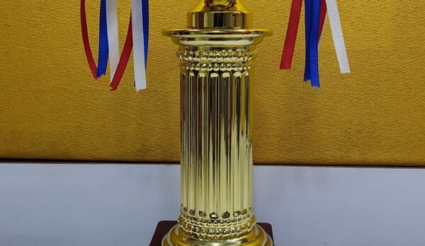 CII National Energy Efficiency Award Trophy