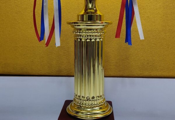 CII National Energy Efficiency Award Trophy